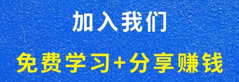 白菜价解锁20000+N个赚钱机会，加入轻创终点站会员，全站资源免费学习。-微创终点站