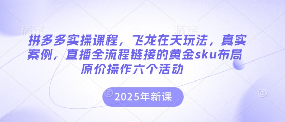 拼多多实操课程,飞龙在天玩法,真实案例,直播全流程链接的黄金sku布局原价操作六个活动-微创终点站