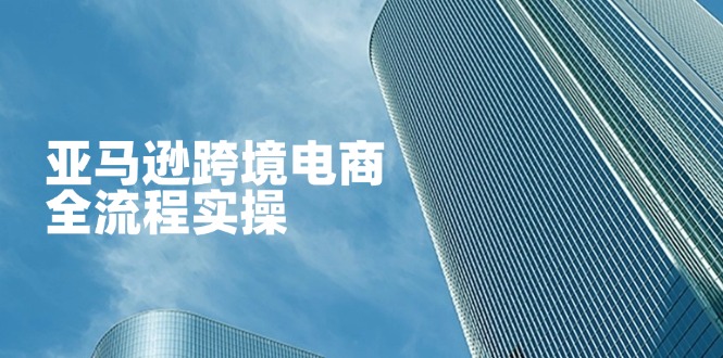 (14252期)亚马逊跨境电商全流程实操,教你从零开始,掌握店铺运营与广告技巧-微创终点站