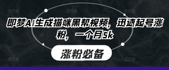 即梦AI生成猫咪黑帮视频，迅速起号涨粉，一个月5k-微创终点站