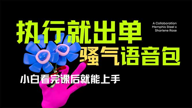 （14170期）爆火全网的开车导航骚气语音包,只要执行就出单，小白看完课程就能实操...-微创终点站